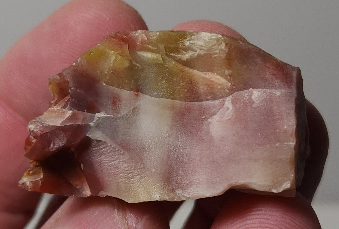 Arizona Petrified Wood