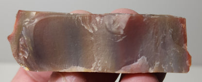 Arizona Petrified Wood-Resin Coated