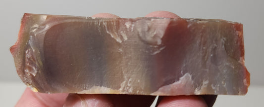 Arizona Petrified Wood-Resin Coated