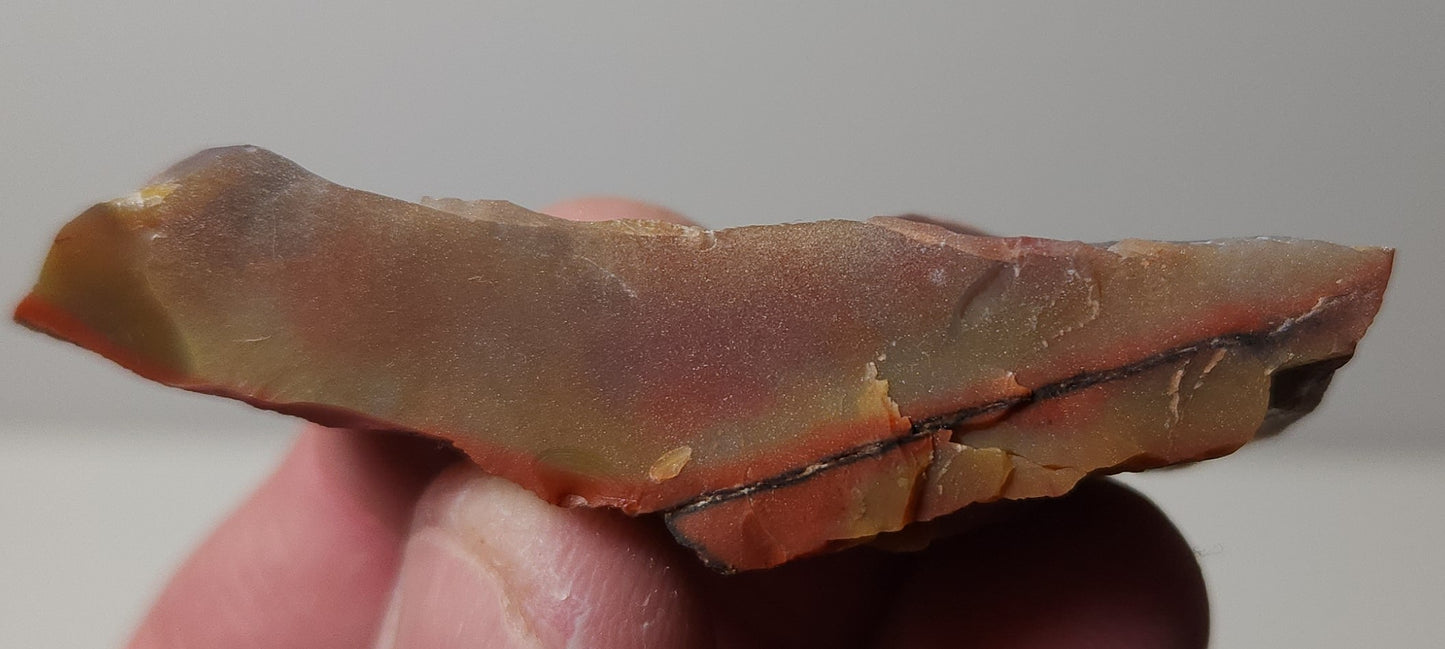 Arizona Petrified Wood-Resin Coated