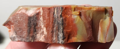 Arizona Petrified Wood-Resin Coated