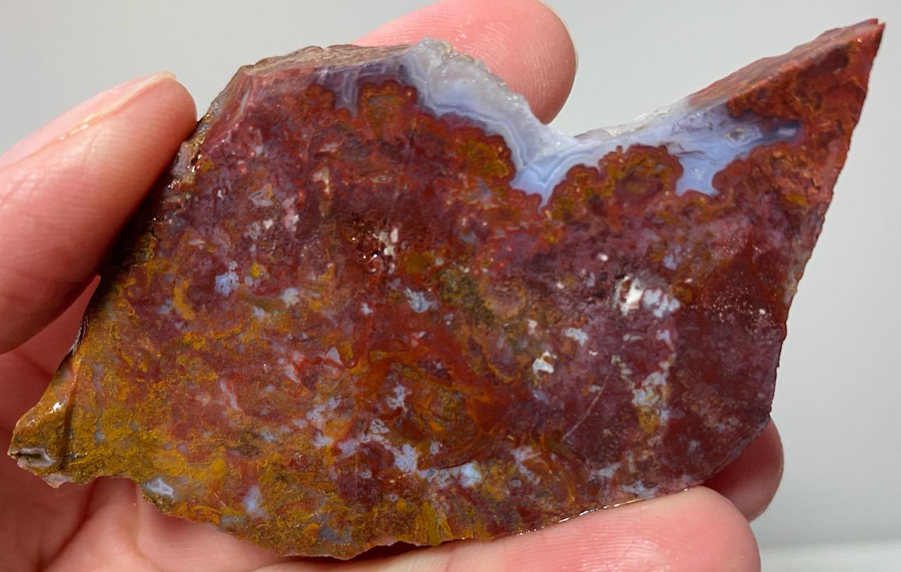 Rodeo Flats Red/Yellow Moss Agate Slab