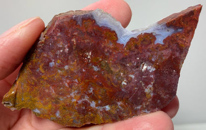 Rodeo Flats Red/Yellow Moss Agate Slab