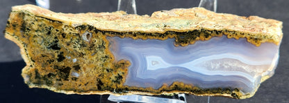 Polished Face Green Moss Seam Agate with Blue Fortifications